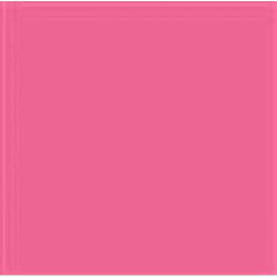 Paper Background 2.72 X 11m Pink 011