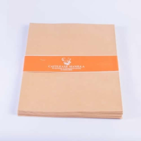 12 X 10 BROWN A4 SIZE ENVELOPE (25 PCS)