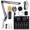 Single Person Podcast Equipment Set, BM-800 Mic Kit with V8 Live Sound Card, Condenser PC Gaming Mic with Professional Audio Mixer, Prefect for Streaming, Computer, Singing, Youtube, Recording 