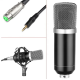  GA-800 Cardioid 800 Condenser Microphone by XPRO