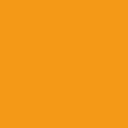 Paper Background 2.72 X 11m Orange 023
