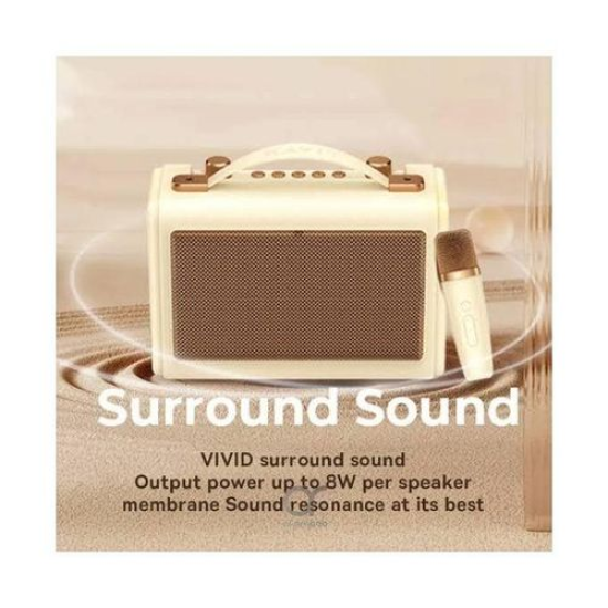 Havit SK823BT Wireless Retro Portable Karaoke Bluetooth Speaker